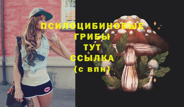 СК Новодвинск